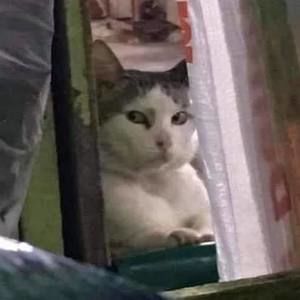 Meet your Posher, Krystal